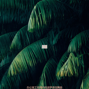 办公室工作波萨诺伐舞曲