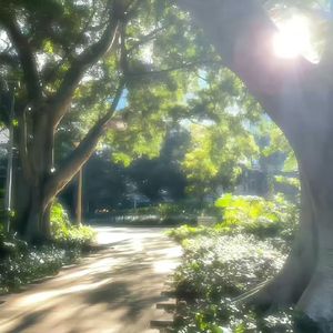 path kiss（小路吻）