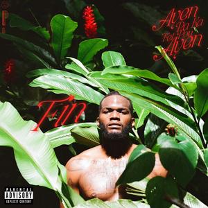 Edtrack (feat. MC Janik)