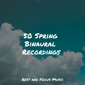 Kaleidoscope of Dreams