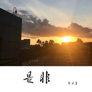是非（Demo）