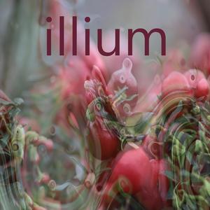 Illium