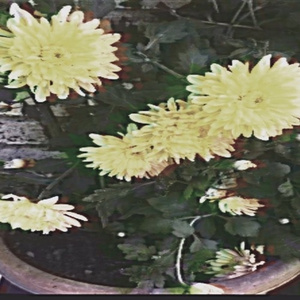 Hurt (prod. notmorgn)