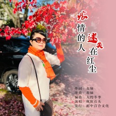 痴情的人迷失在红尘
