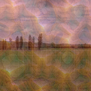 Fields