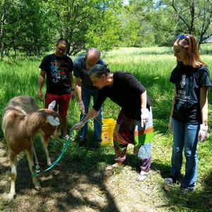 Tallgrass Studies I: Ornithology and Anemology (Study of Birds and Winds) (feat. Ramiro Miranda, Violin, Rob Loren, Violin, Elizabeth Wallace, Viola & Susan Mayo, Cello)