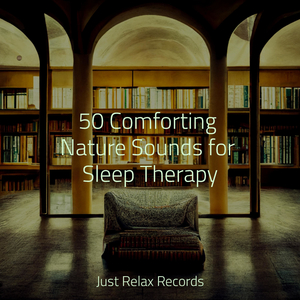 Fleeting Laments of Solitude