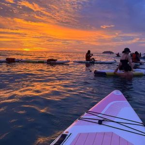 傲娇的鸟儿飞走了（Phonk）