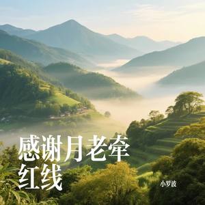 感谢月老牵红线