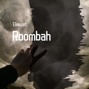 Roombah