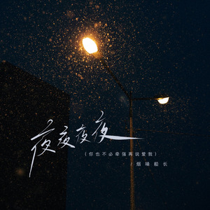 夜夜夜夜(你也不必牵强再说爱我)