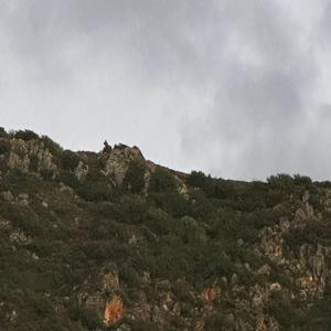 Giderim (feat. Eylül)