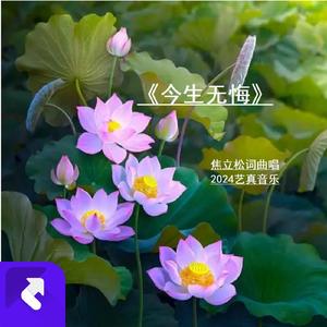 今生无悔（焦立松无悔） (现场)