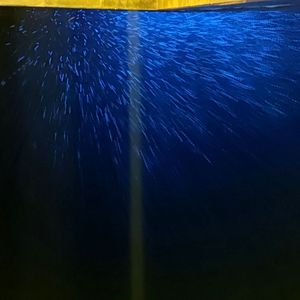 我们是否已经走到了尽头