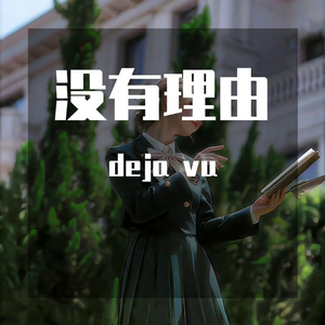 没有理由（Bootleg ）