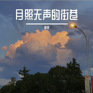 雨落在故事之外
