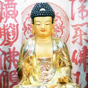 나무아미타불 - 원력의등불