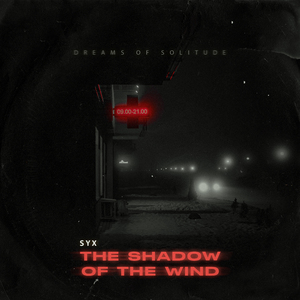 The Shadow of the Wind