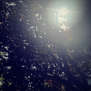 Love fantasy（Prod.Gr33nart Beats）