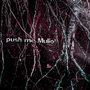 Начален кадър отзад