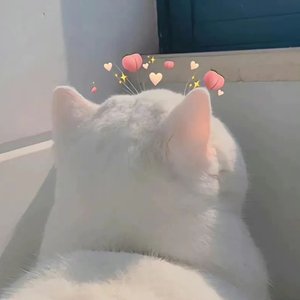 我想（cover余佳运）