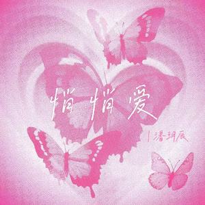 悄悄爱（DJ弹鼓版）