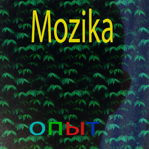 Опыт