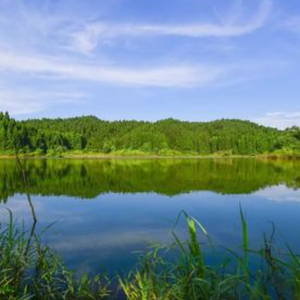 "绿水青山"Free beat