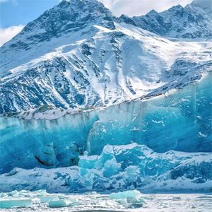 为什么没有先来后到