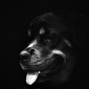 November (2016 Intro)