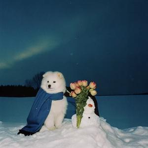 冬天来了 春天还会远么