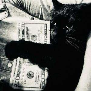 Weselny Klimat Ale to Hardstyle