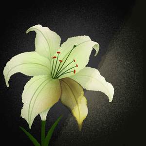 Intro: Yêu bằng cả tim gan