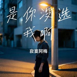 是你没选我啊 (Remix)