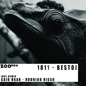 Stereofonia (Caio Haar Remix)