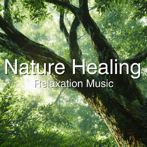 癒しのギターとα波効果 深い眠りに落ちる睡眠用ヒーリングbgm「セロトニン」で睡眠の質向上 (自律神経を整える睡眠用 森 鳥)