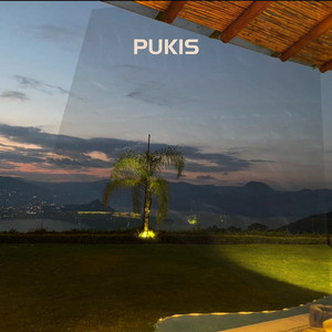 Pukis