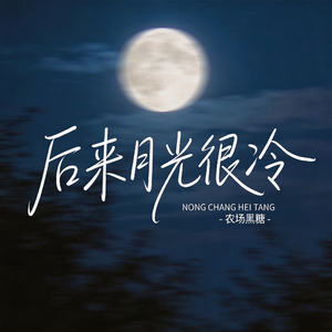 后来月光很冷（原版）