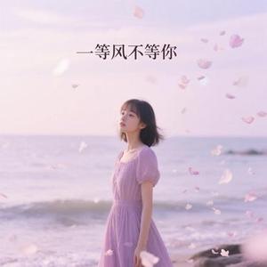 等风不等你