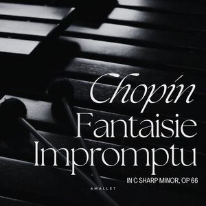 Chopin:Fantaisie Impromptu in C sharp minor, Op. 66 (Marimba)