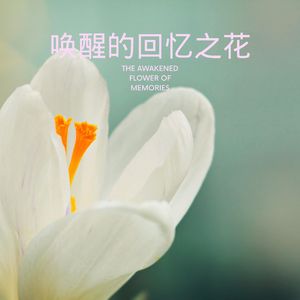 风语山林 (排箫)