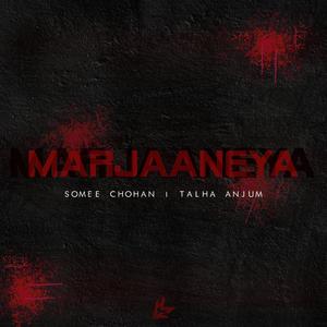 Marjaaneya (feat. Talha Anjum)