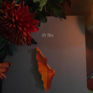 Tere bin (Reprise Version)