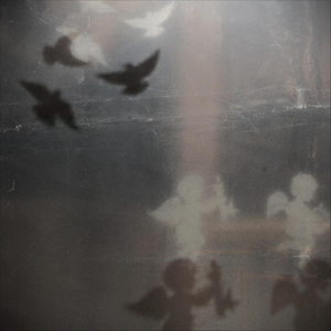 THE CRICKETS HAVE STOPPED