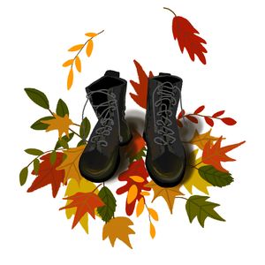 Грязными ботинками