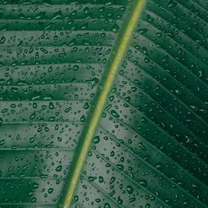 神探井事件簿2020 - 两三点雨山前