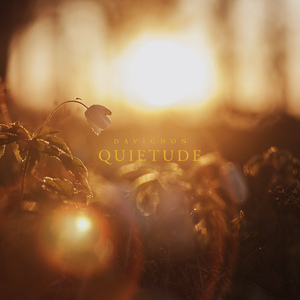 Quietude