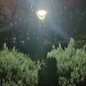 千年泪cover片段