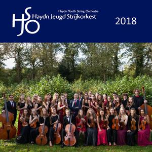 Kammersinfonie (nach dem 8. Streichquartett) Op. 110a (feat. Camille Buitenhuis & Caspar Westerman)