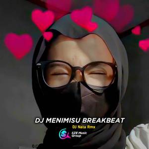 DJ MENIMISU (Breakbeat)
